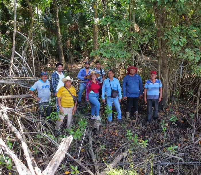 Consultora Ambiental